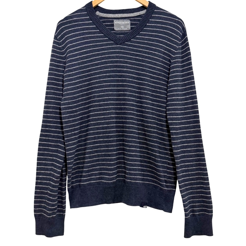 Aeropostale‎ Mens V-Neck Striped Sweater Cotton Wool Blend Size Medium Preppy